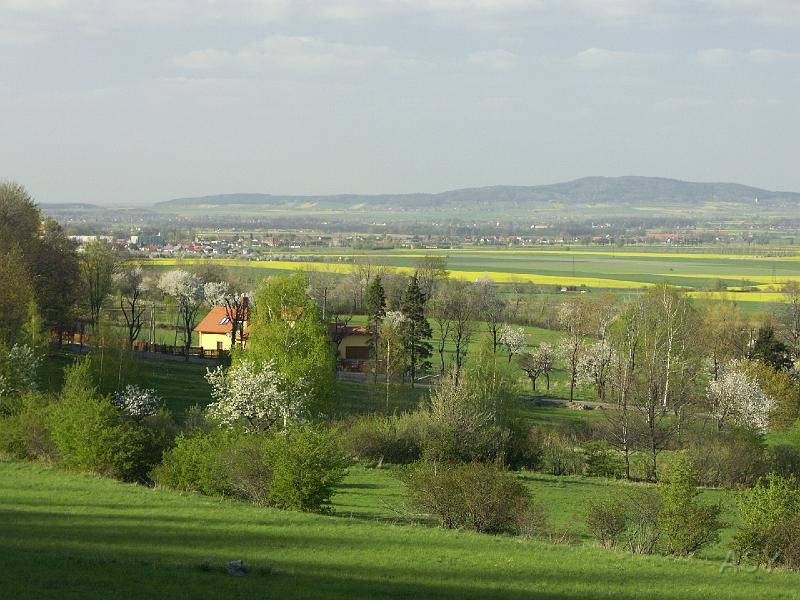 PICT5564.JPG