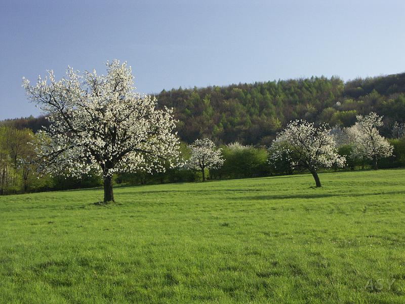 PICT5565.JPG