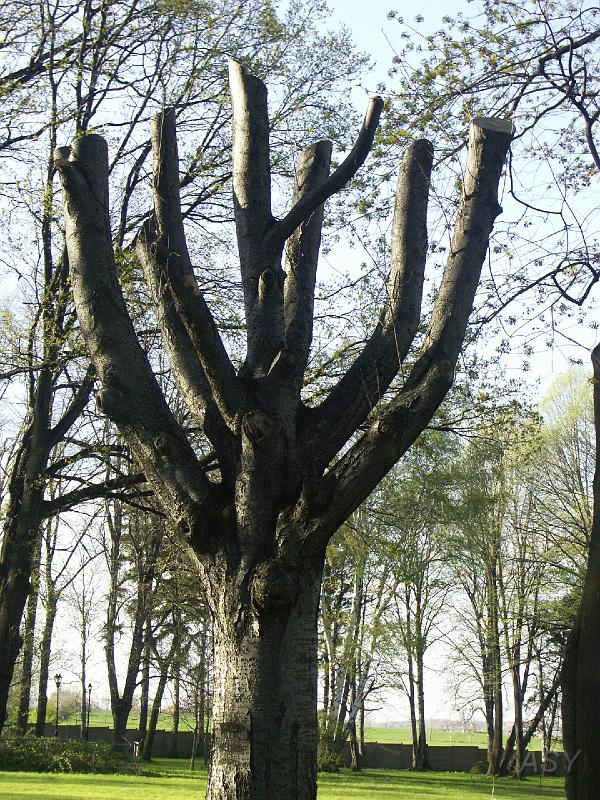 PICT5566.JPG