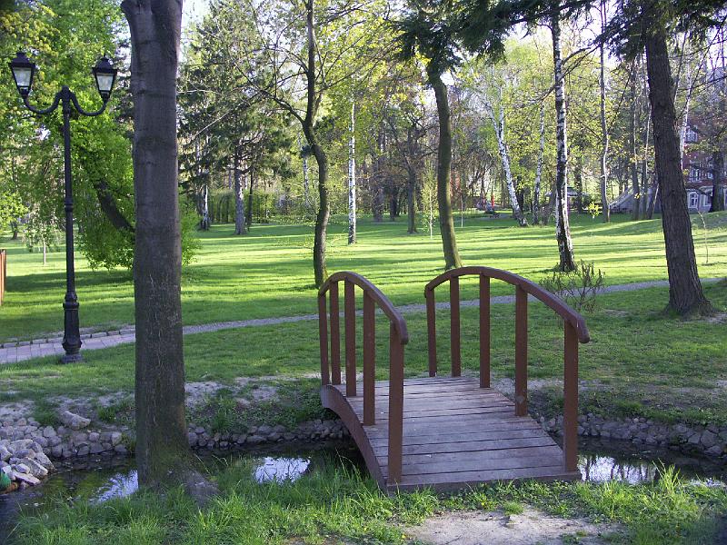PICT5569.JPG