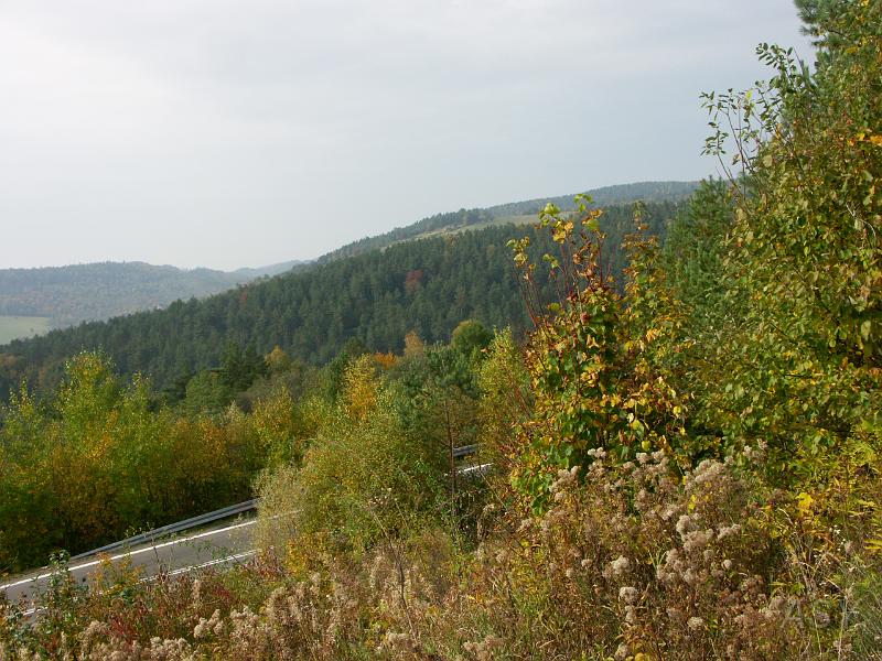 PICT3824.JPG - Początek października, a tutaj dopiero początek jesieni.