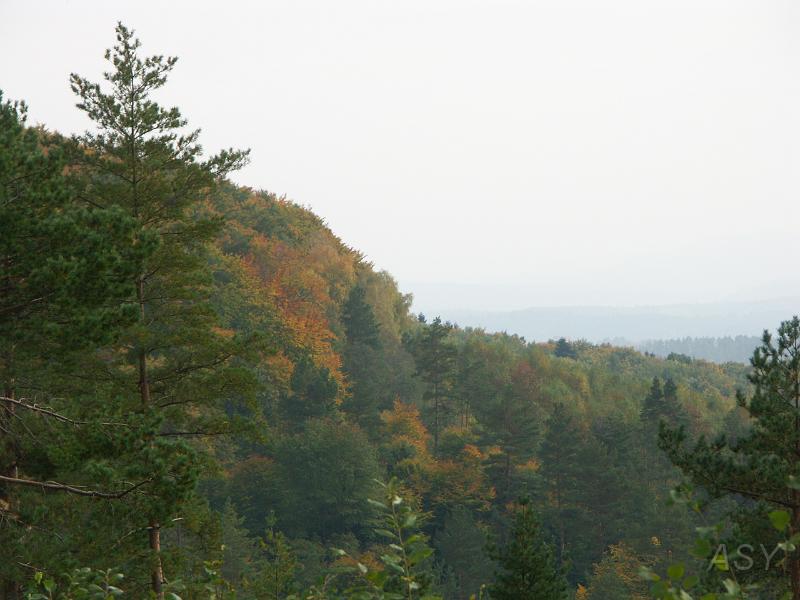 PICT3826.JPG