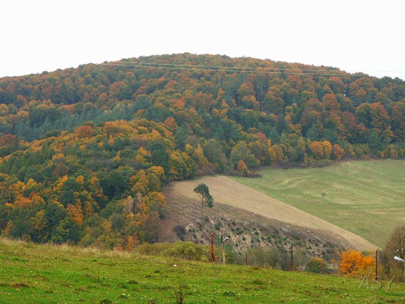 PICT3840.JPG - Kolejny dzień, na razie bez deszczu. I te widoki ...