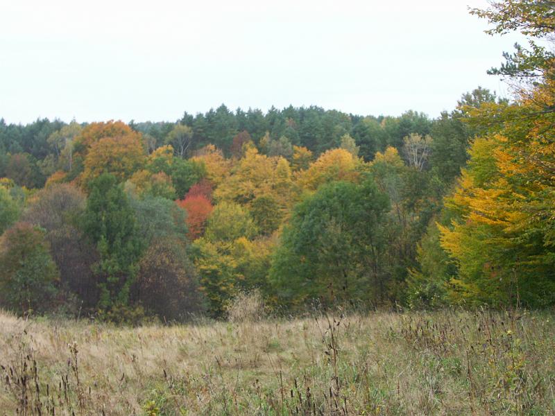 PICT3848.JPG