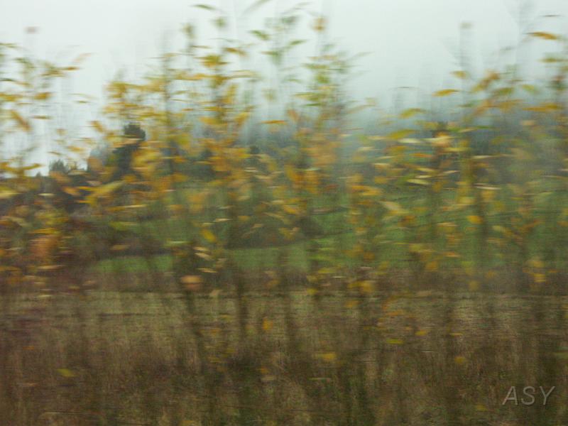PICT3925.JPG