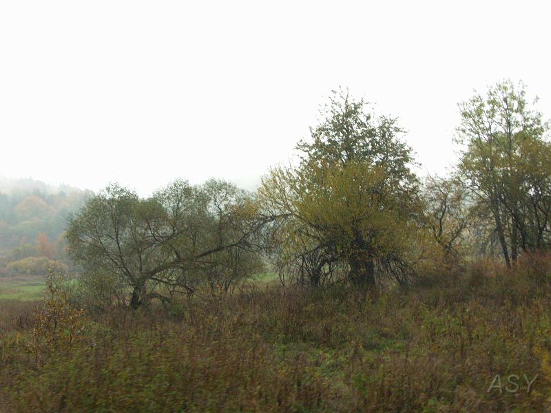 PICT3986.JPG