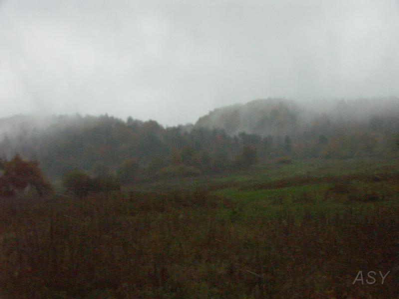 PICT3987.JPG