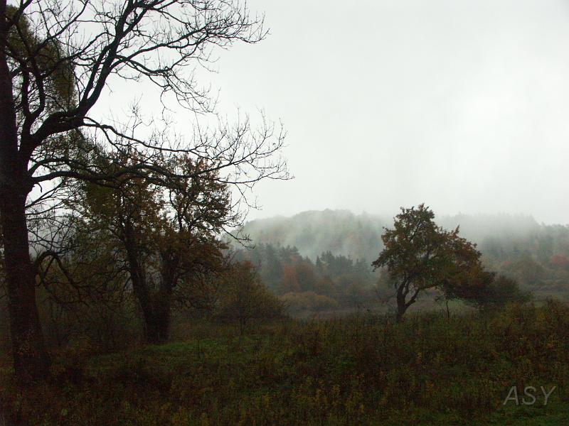 PICT3989.JPG