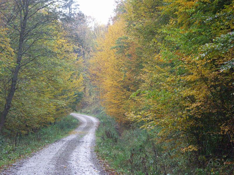 PICT4016.JPG - Nazajutrz spadł śnieg, który odciął wiele z tych miejsc od świata.