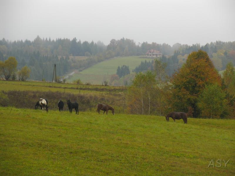 _MG_0240.JPG