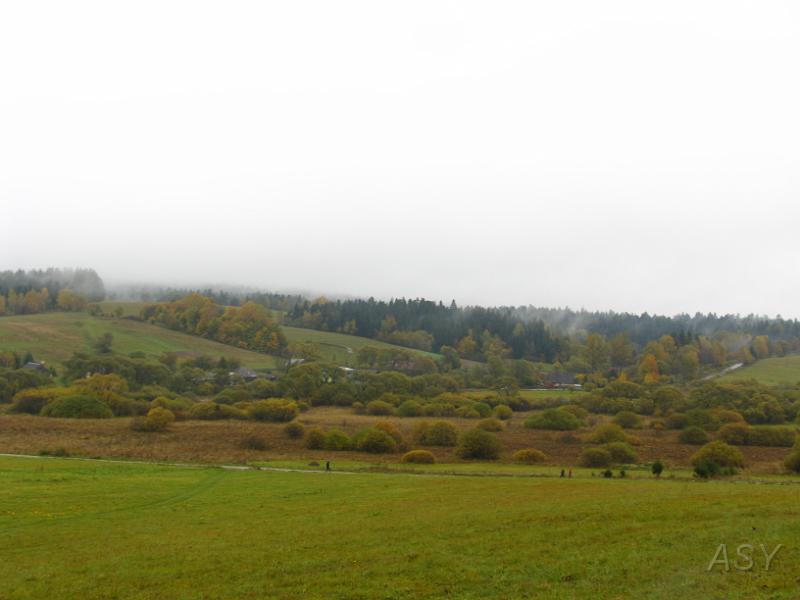 _MG_0241.JPG
