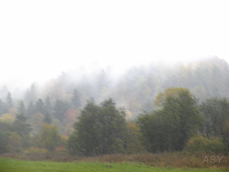 _MG_0254.JPG