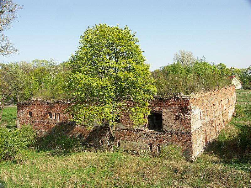 PICT1725.JPG