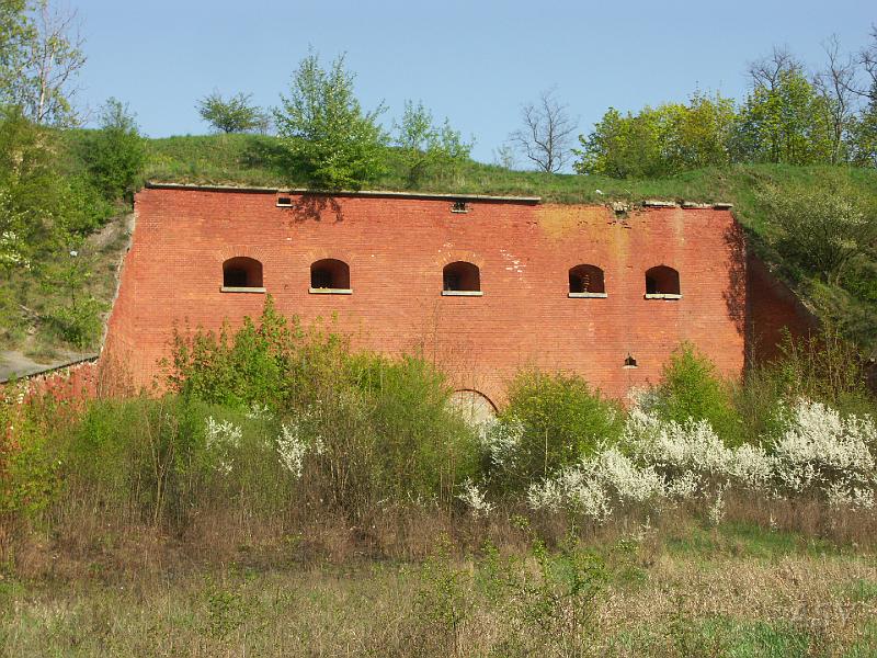 PICT1728.JPG