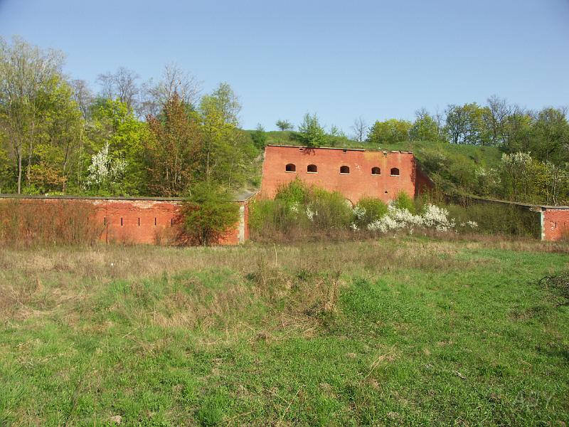 PICT1730.JPG