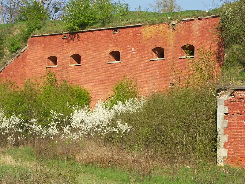 PICT1732.JPG