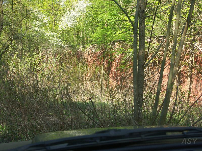 PICT1733.JPG