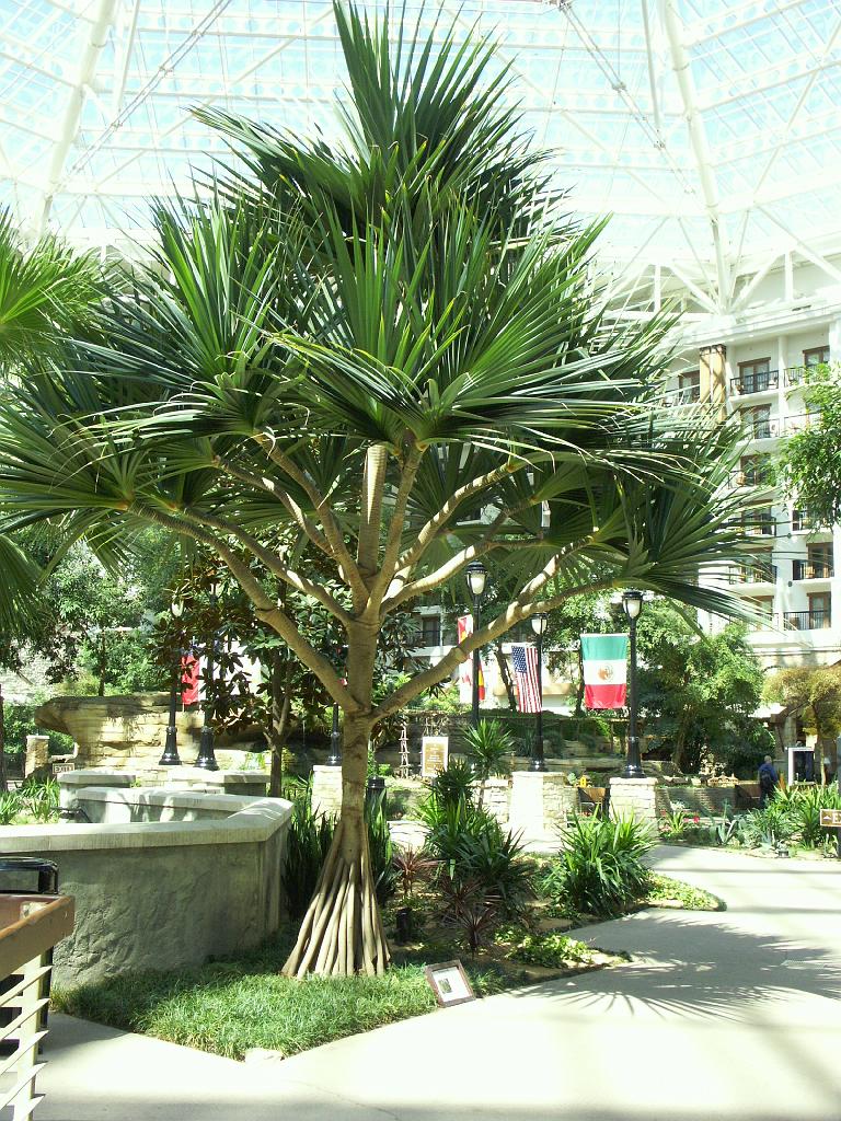 PICT0032.JPG