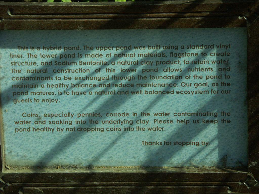 PICT9307.JPG