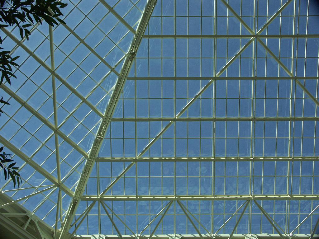 PICT9331.JPG