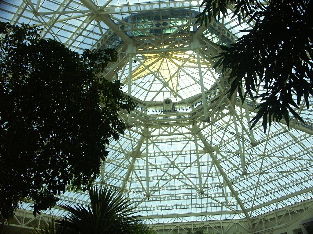 PICT9335.JPG