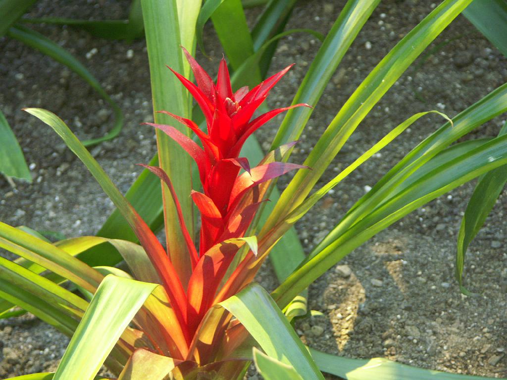 PICT9338.JPG