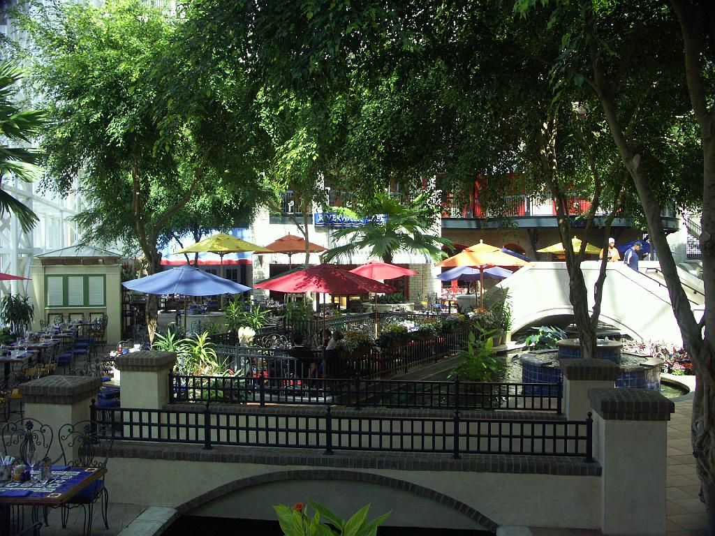 PICT9361.JPG