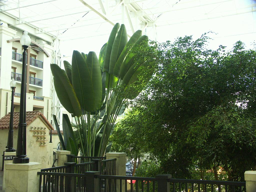 PICT9365.JPG