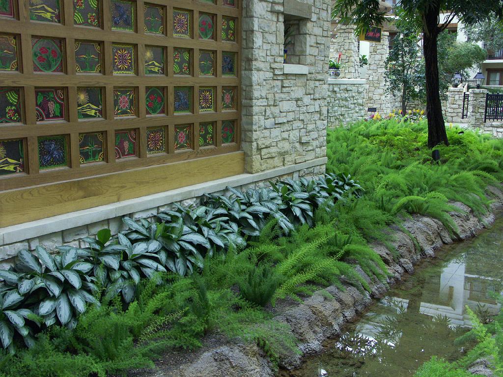PICT9620.JPG