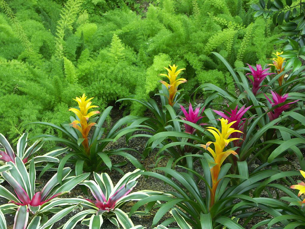 PICT9627.JPG