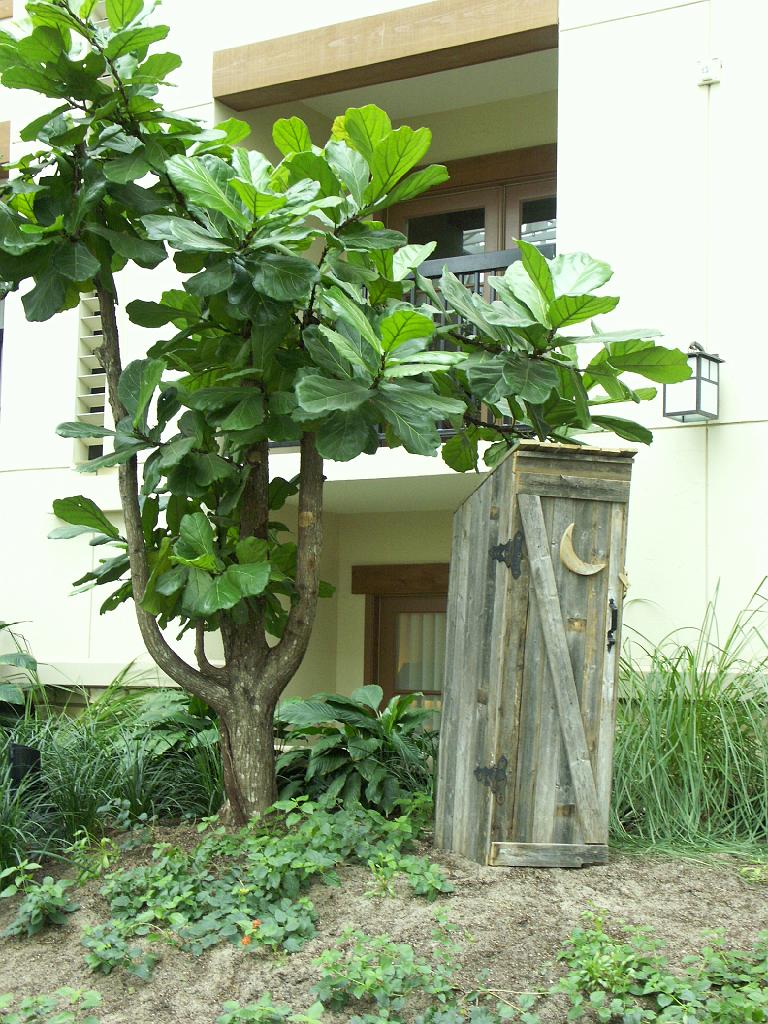 PICT9629.JPG