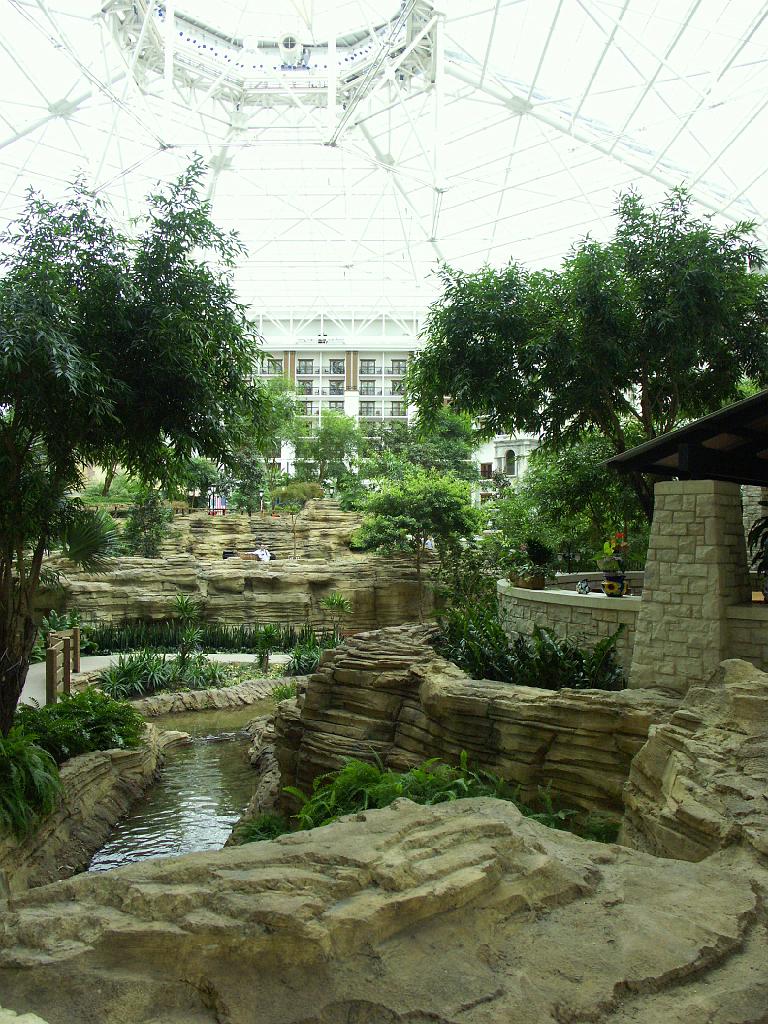 PICT9631.JPG