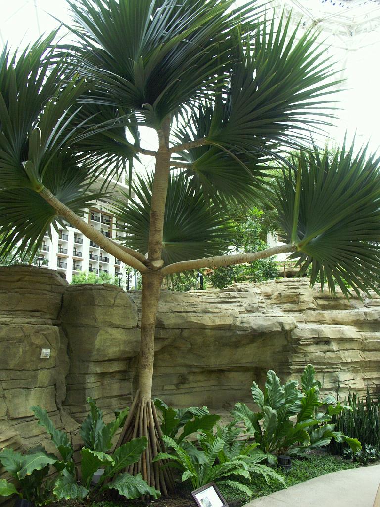PICT9632.JPG