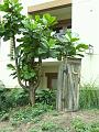 PICT9629