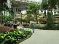 PICT9634