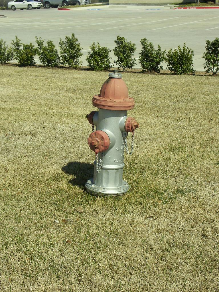 PICT0051.JPG