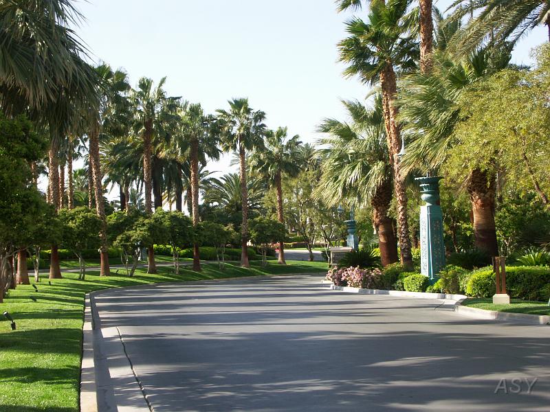 PICT0511.JPG
