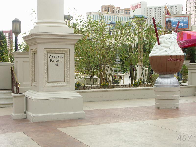 PICT0695.JPG