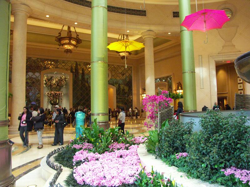 PICT0823.JPG