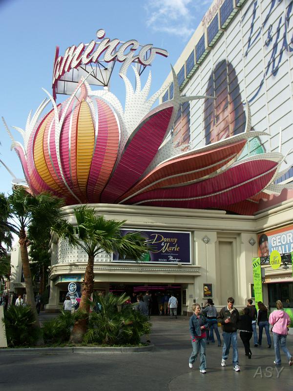 PICT0877.JPG