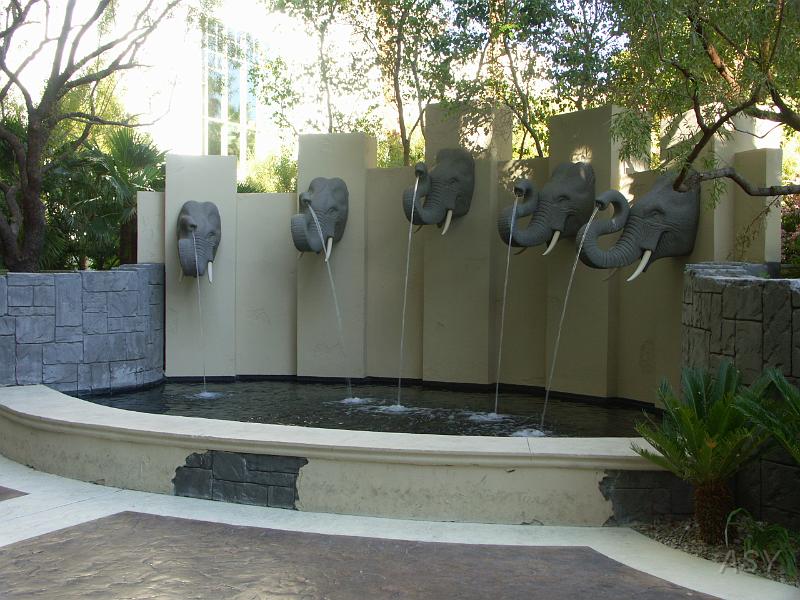 PICT0951.JPG