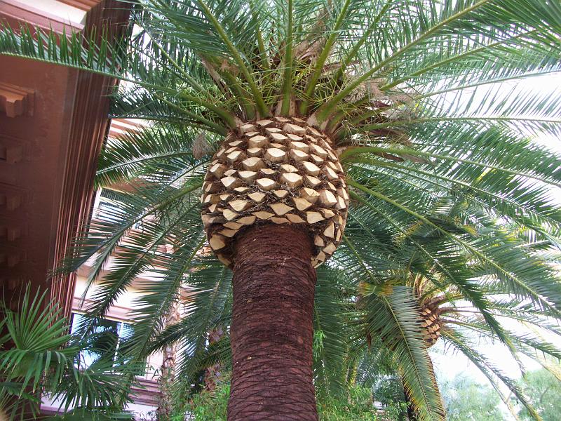 PICT0953.JPG
