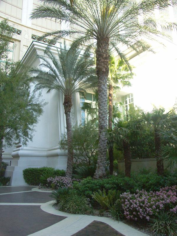 PICT0954.JPG