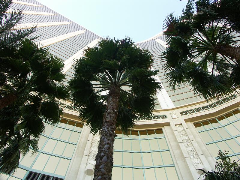 PICT0955.JPG