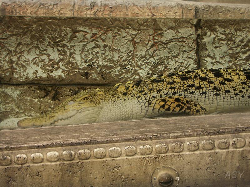 PICT1357.JPG
