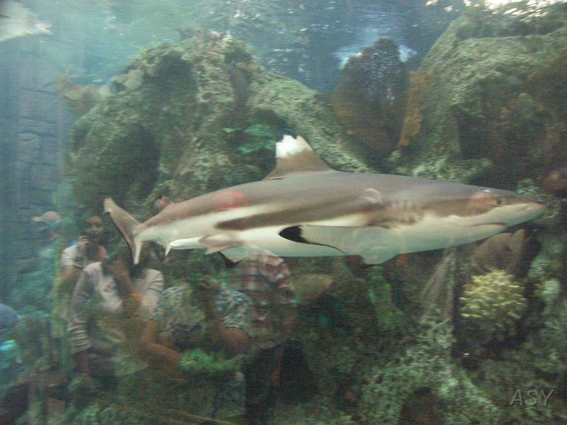 PICT1369.JPG