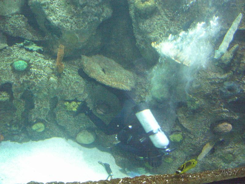 PICT1373.JPG
