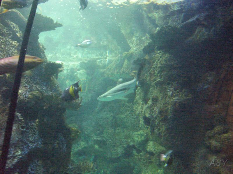PICT1379.JPG