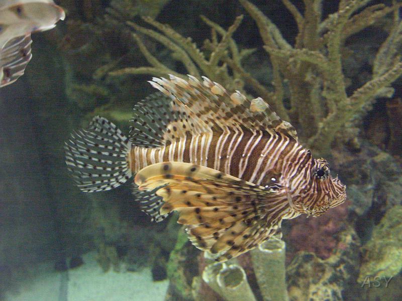 PICT1382.JPG