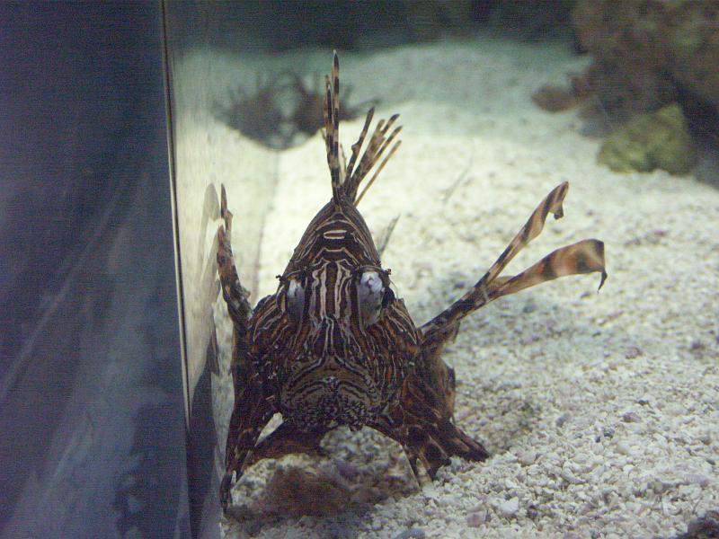 PICT1384.JPG